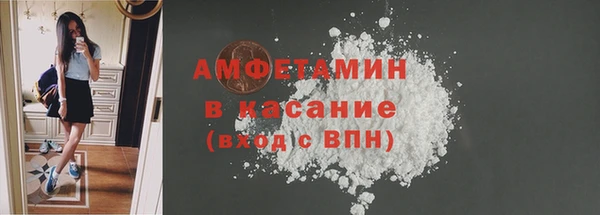 шишки Алексин