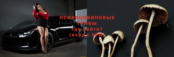 спайс Алзамай